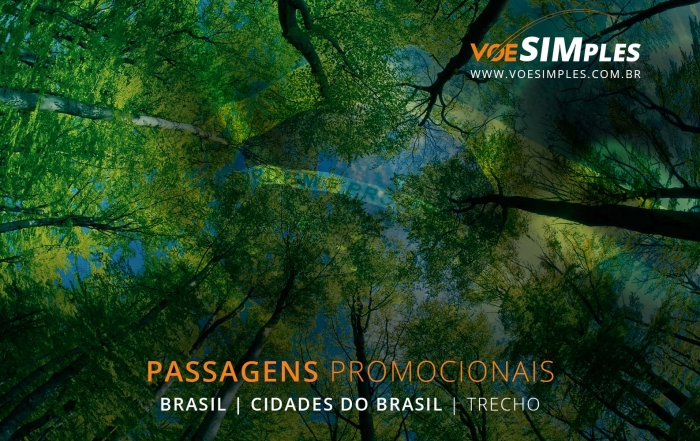 passagens-aereas-promocionais-brasil-voe-simples-passagem-aerea-promocional-barata-promocao-passagem-aviao-passagens-aereas-brasil-diversos-destinos-trecho