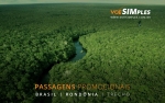 Passagens aéreas baratas para Porto Velho em Rondônia